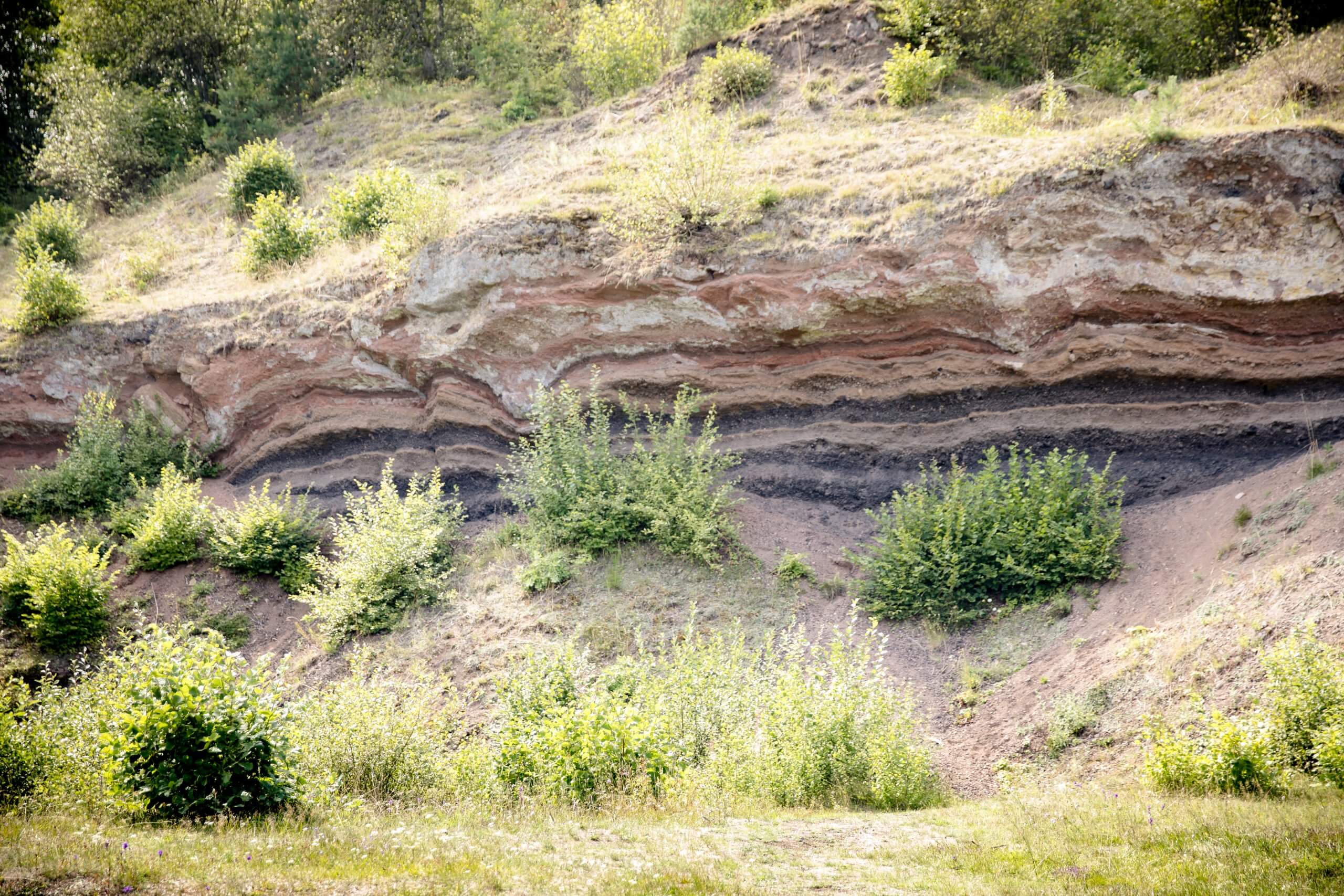 2019_08_21_MartinChrist_VULKANPARK_Booser_Eifelturm_FD4A6515